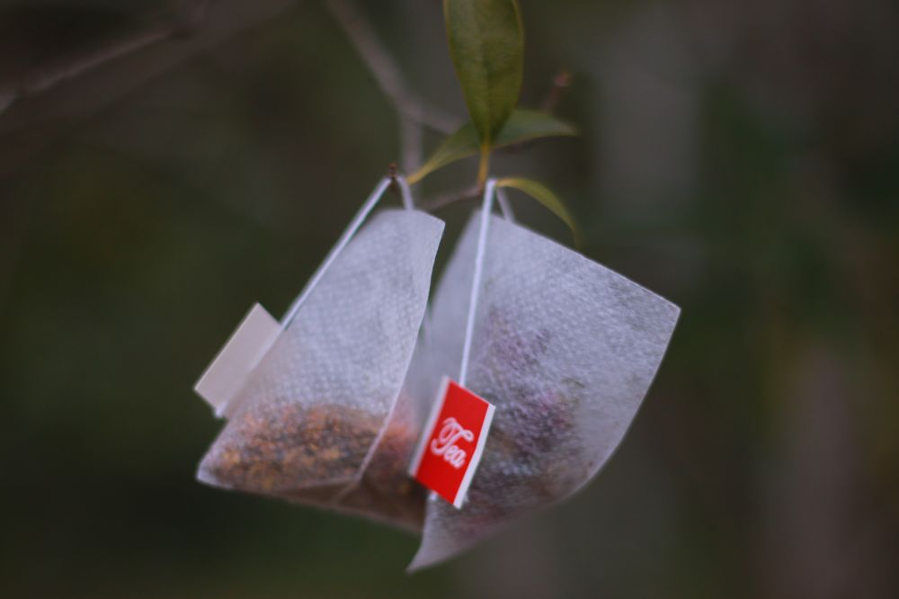 How to make a good cup of tea with tea bags